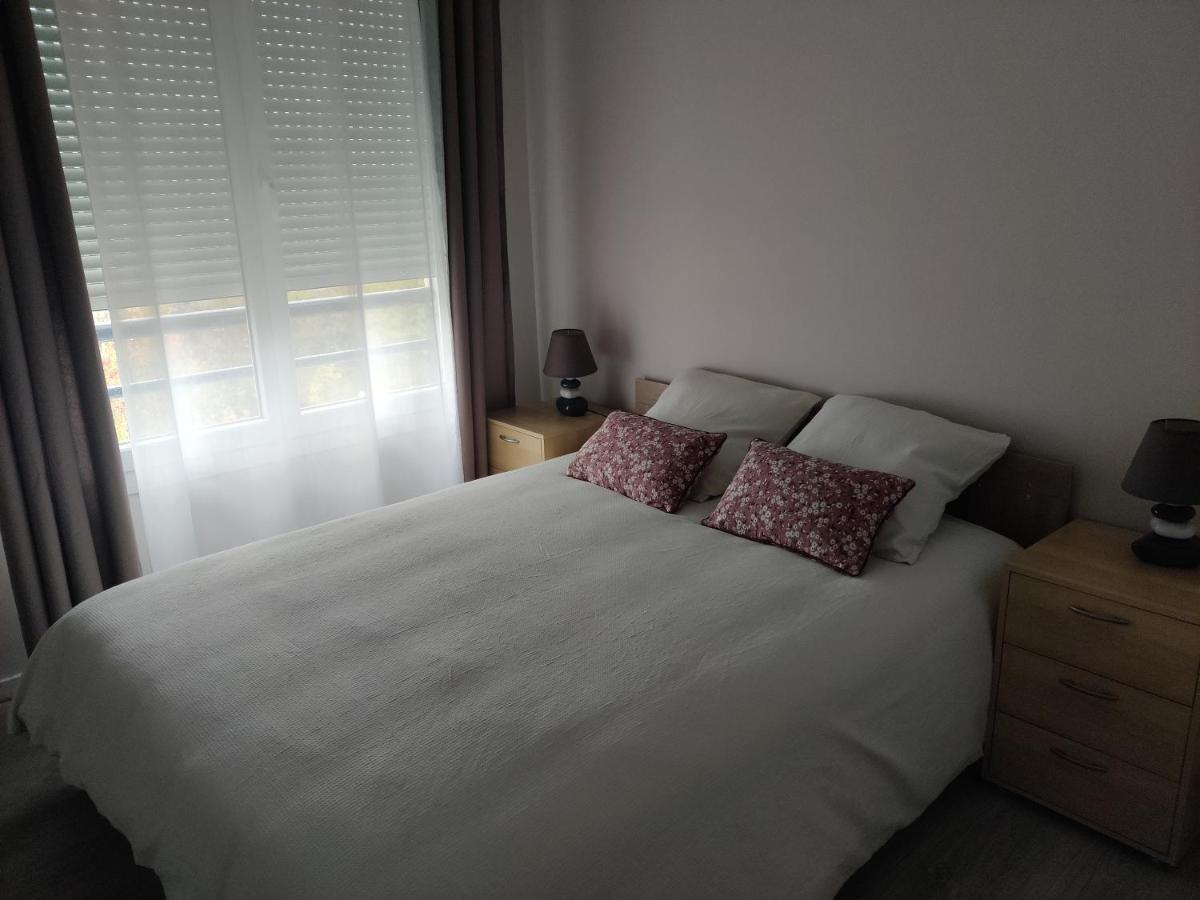 App 5 Pers, Parking, 3Mn Rer A, 40 Mn Du Centre De Paris, Cergy Le Haut公寓 外观 照片